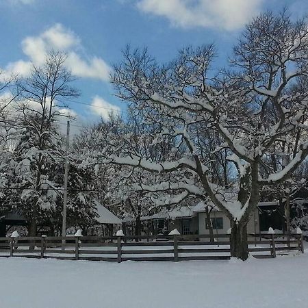 Bourbon Trail Cabin On The Farm Lawrenceburg Dış mekan fotoğraf