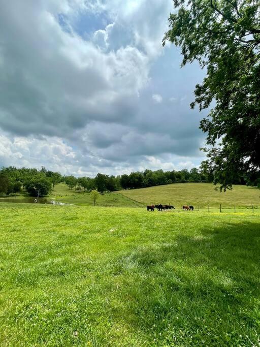Bourbon Trail Cabin On The Farm Lawrenceburg Dış mekan fotoğraf