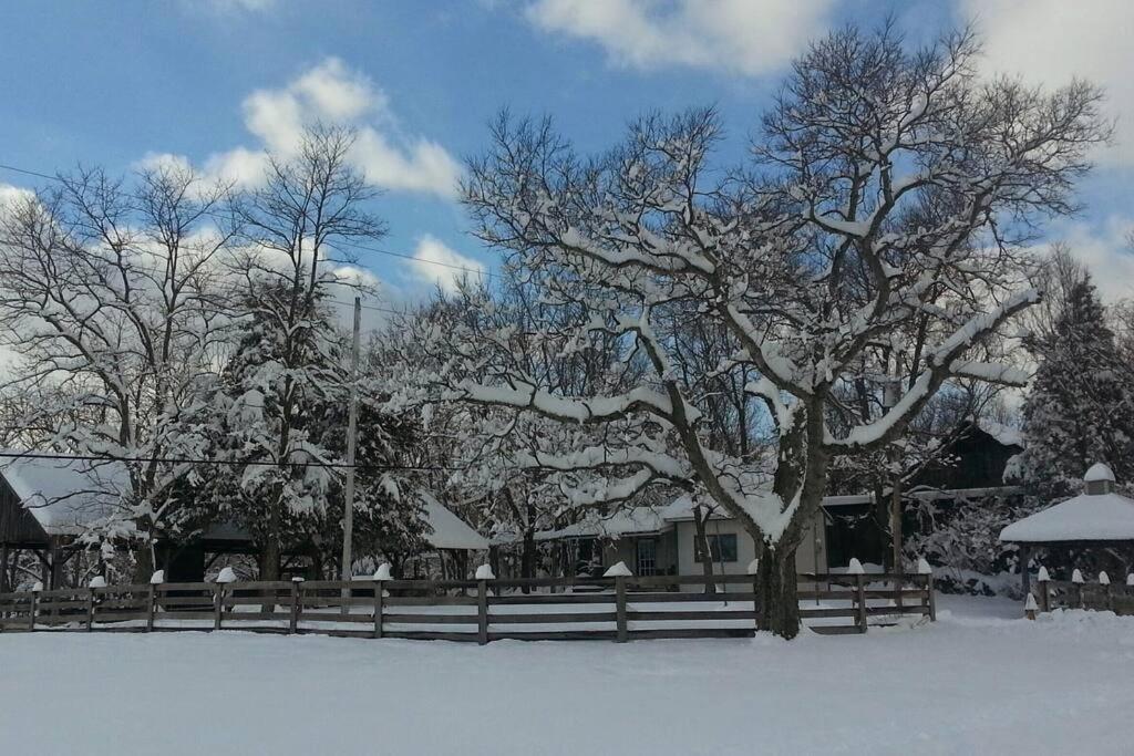 Bourbon Trail Cabin On The Farm Lawrenceburg Dış mekan fotoğraf