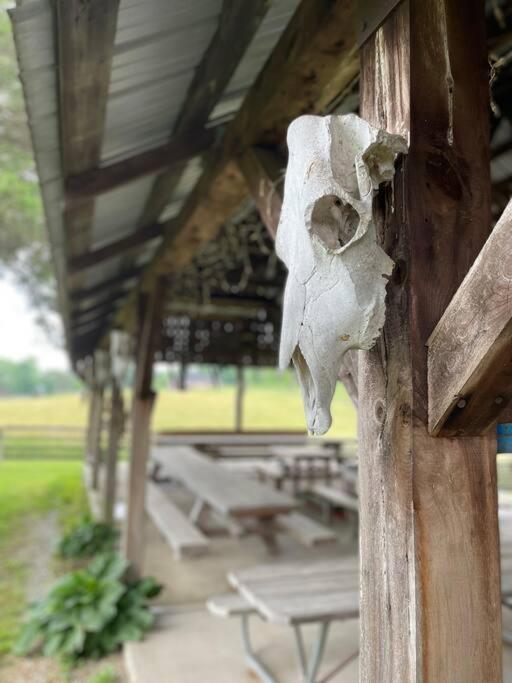 Bourbon Trail Cabin On The Farm Lawrenceburg Dış mekan fotoğraf