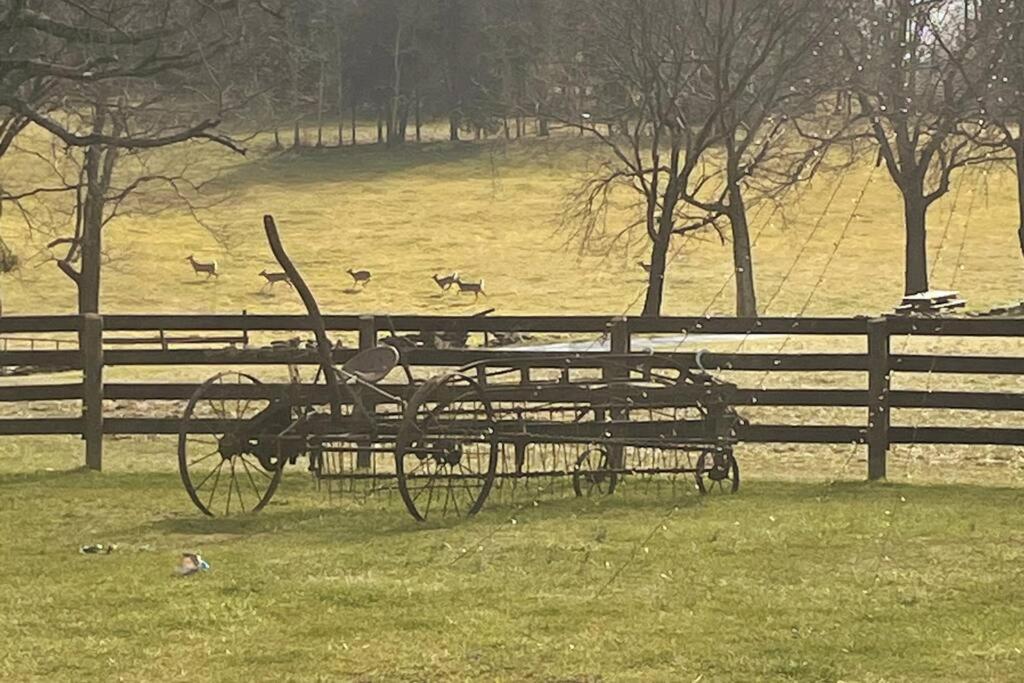 Bourbon Trail Cabin On The Farm Lawrenceburg Dış mekan fotoğraf
